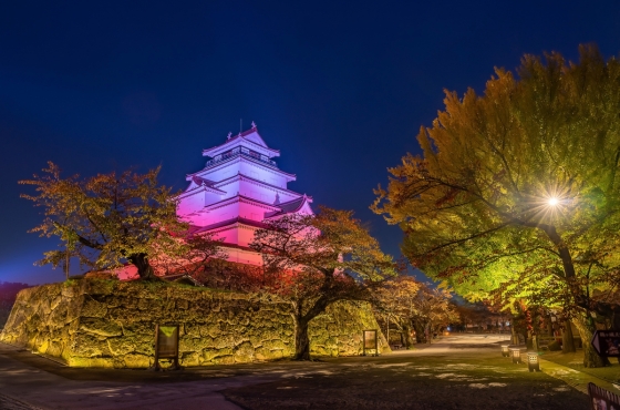 Tsurunga cruisebestemming groepsreis Japan