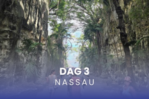 studiereis Wonder of the Seas Nassau