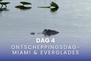studiereis Wonder of the Seas ontscheppingsdag Miami en Everglades dag 4