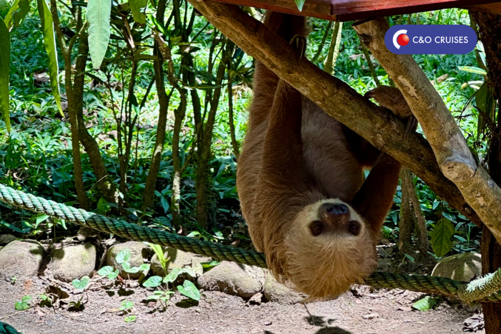 Groepscruise Costa Rica