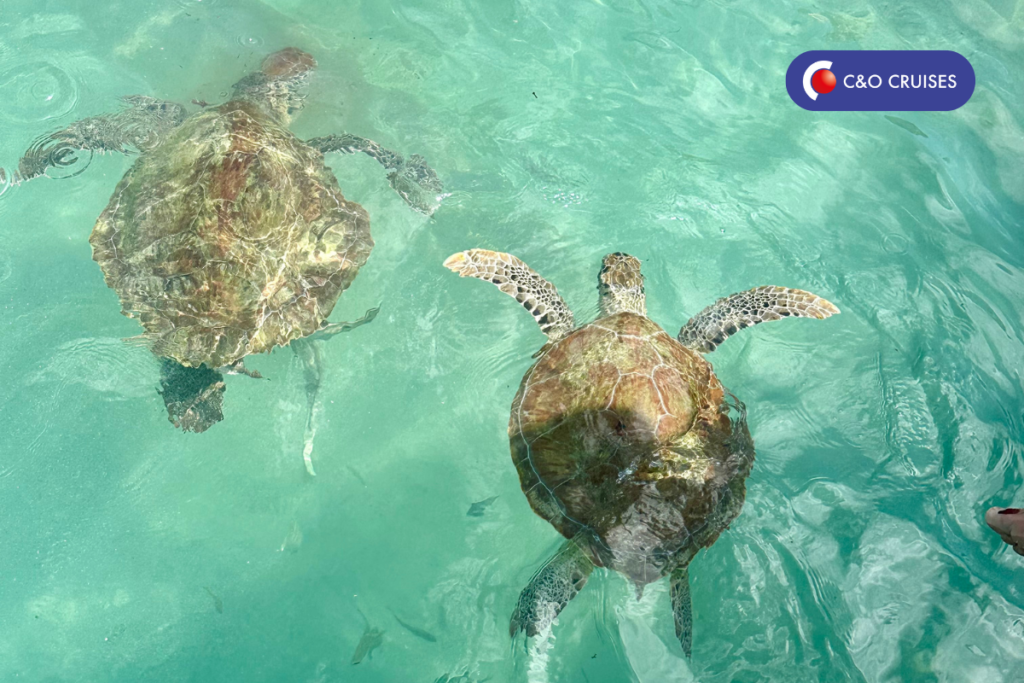 Groepscruise Grand Cayman